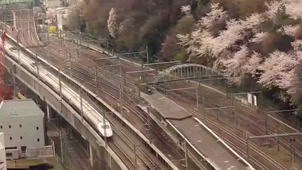 桜 飛鳥山公園 北とぴあ展望台 新幹線 都電 Tokyo Cherry Blossom Shinkansen Metropoiitan Tramcar Youtube