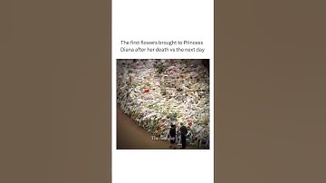 Thumbnail of The first bouquet in memory of the princess Diana #shorts #daily #facts #global #world #peace