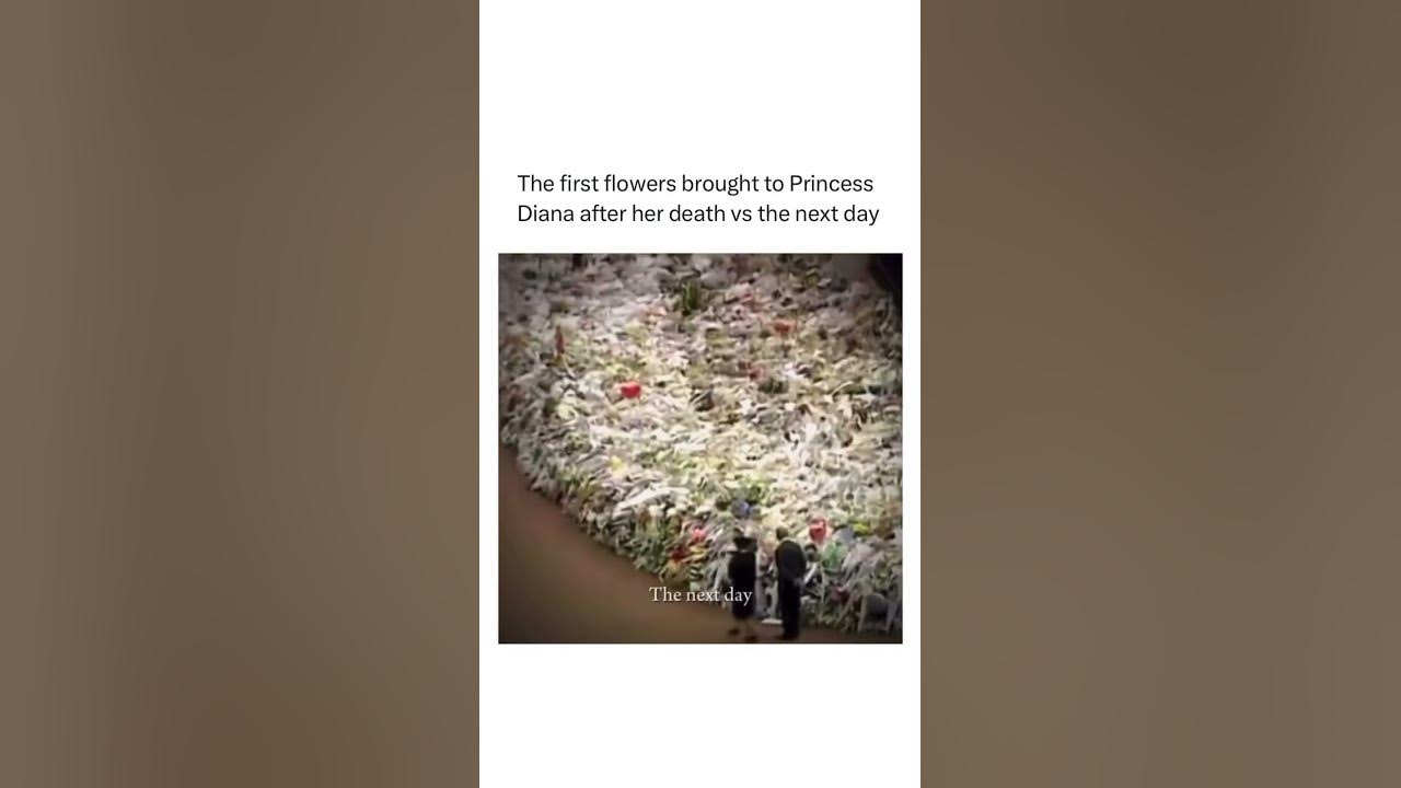 The first bouquet in memory of the princess Diana #shorts #daily #facts #global #world #peace