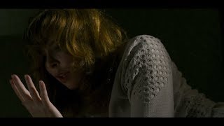Arrow Video Selects - Incident in a Ghostland by Daniel Perry