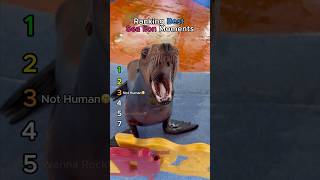 Ranking Best Sea Lion Moments