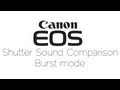 Comparison of Canon EOS Burst Shutter Sounds (visual)