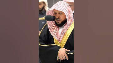 وقال اركبوا فيها بسم الله مجراها ومرساها إن ربي لغفور رحيم | تلاوة آسره للشيخ ماهر المعيقلي