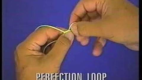 Perfection Loop