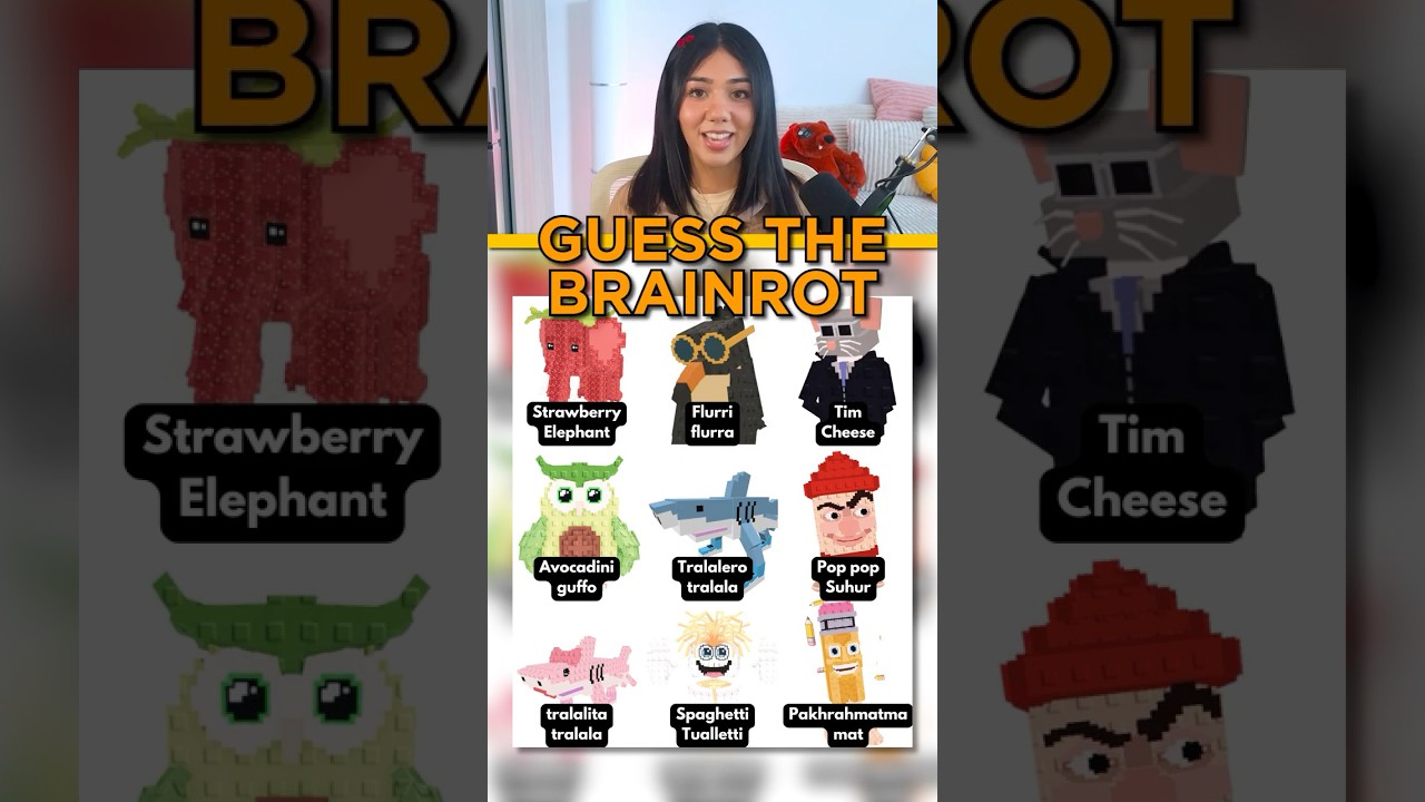BRAINROT GUESS WHO!
