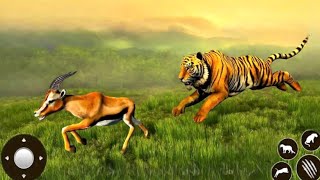 The Tiger Animal Simulator 3D - Wild Tiger Family Animal Game - Android GamePlay  screenshot 2