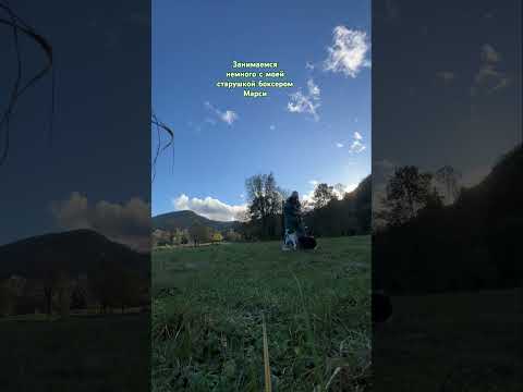 Я кинолог❤️ заходите у нас на канал