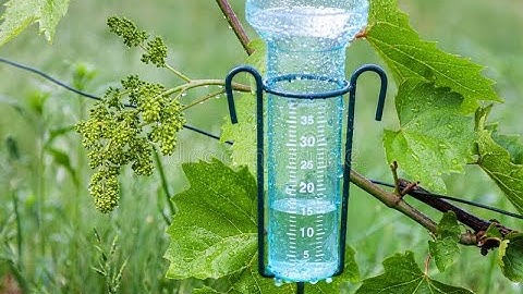 What is Rain gauge ? || about rain gauge || rain gauge #rain