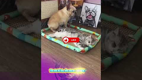www.youtube.com