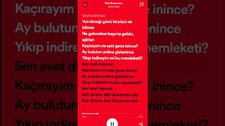Ziynet Sali - Deli Divanenim (Speed Up) #lyrics #spotify Resimi