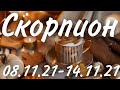 Прогноз на неделю с 8 по 14 ноября 2021 года для представителей знака Скорпион