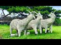 04-002 宿り木みたいな人だけ