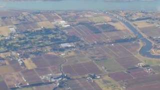 Edmonton from air