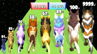 Wolf Evolution Run 3D - Level Up Wolf Max Level Gameplay (Animal Runner) New Update screenshot 3