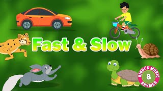 Fast & Slow | Concepts | Educational Rhymes | Bindi's Music & Rhymes