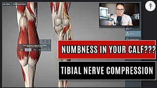 NUMBNESS IN YOUR CALF ⁉️