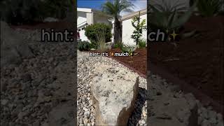 Eco-Friendly Yard Transformation Drought-Tolerant Plants Sustainable Landscape Design