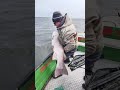 Трофейная рыбалка Набиль Бэй