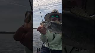 These Crank Baits Are SHOWING Out | Kayak Bass Fishing #shorts