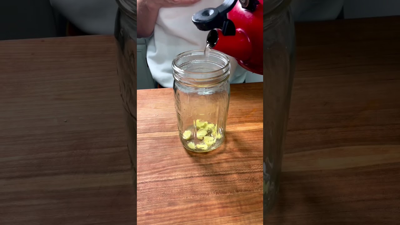 Lemon Ginger Honey Tea | For a Healthy Pick-Me-Up