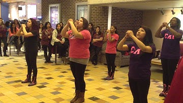 GVSU Multicultural Greek Exhibition 3.0