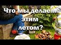 Что мы делаем этим летом?