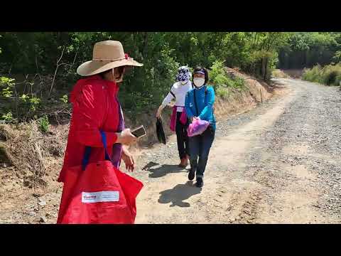 서편제 2 / 진도아리랑