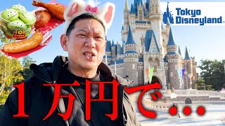 お父さんと初めてのディズニーランドで1万円食べ放題したら初心者すぎて何も乗らないで帰った話聞いてくださいwww