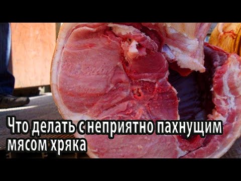 Что делать с неприятно пахнущим мясом хряка