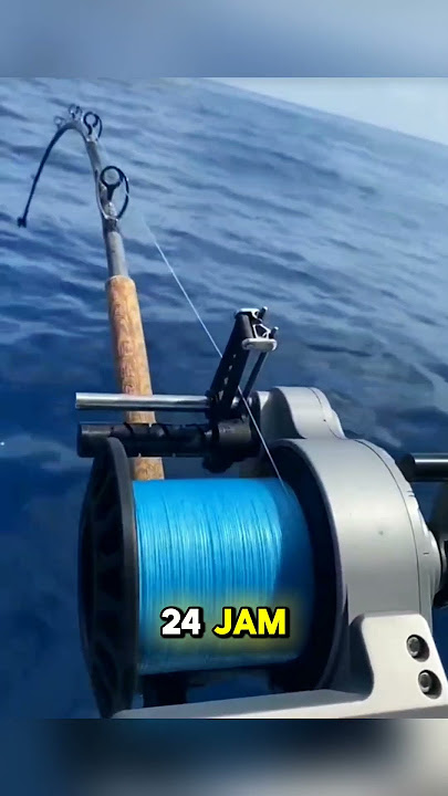 Menangkap ikan menggunakan pancingan otomatis dan canggih #mancing #fishing