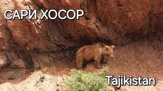 картинка: БАЛҶУВОН-САРИ ХОСОР-ТОҶИКИСТОН / BALJUVAN-SARI KHOSOR-TAJIKISTAN
