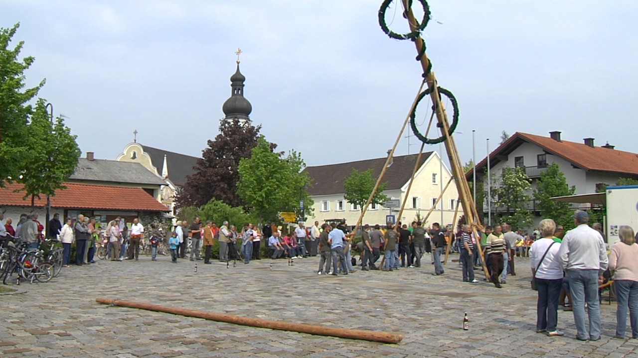 Maibaum schlagen im Wald: Ein Zwiesel wird vorbereitet | Schwaben \u0026 Altbayern | BR