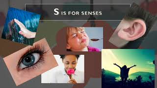 creative writing part 1   SD 480p