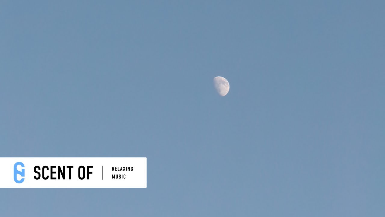 心地よい夜Lofi Chill｜リラックス・作業用BGM