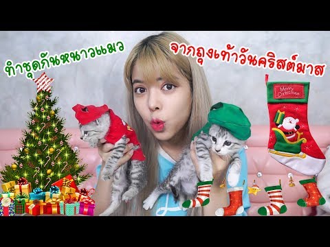 DIY ชุดแมว จากถุงเท้า วันคริสต์มาส คลายหนาวแมวตัวน้อย | แพนด้ากุ๊กกุ๊ก