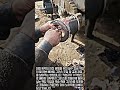 보는 내내 마음이 편안해지는 트럭 휠 구리스 꽉 채우기 #worker #process #satisfying #heavyequipment #axle
