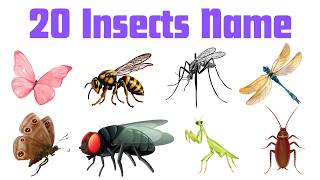 Learn 20 Insects Name for Kids 🦋🐜🐞| Fun Bug Learning Videos for Toddlers & Preschoolers
