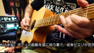 Cole Clark / CCFL1EC-BB 【FAT LADYシリーズ】【Bunya Top/Tasmanian Blackwood Side/Back】