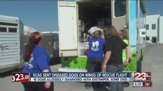 Kern County Animal Services send diseased dogs to rescues
