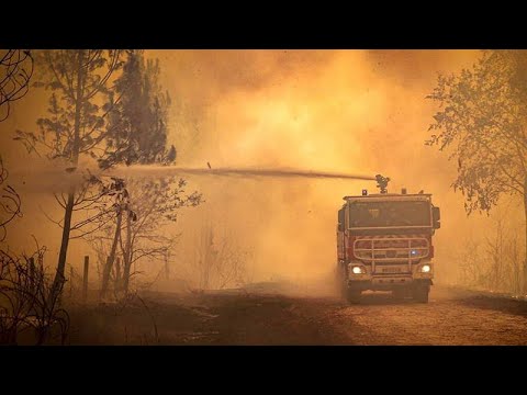 El fuego calcina miles de hectáreas en varios países de Europa