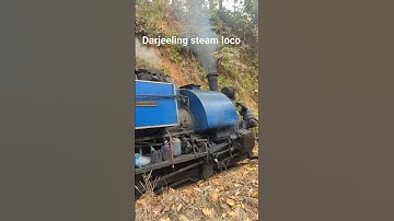 Thumbnail of DHR, Darjeeling Himalayan Rail. steam loco. #toytrain #train #darjeeling #travel