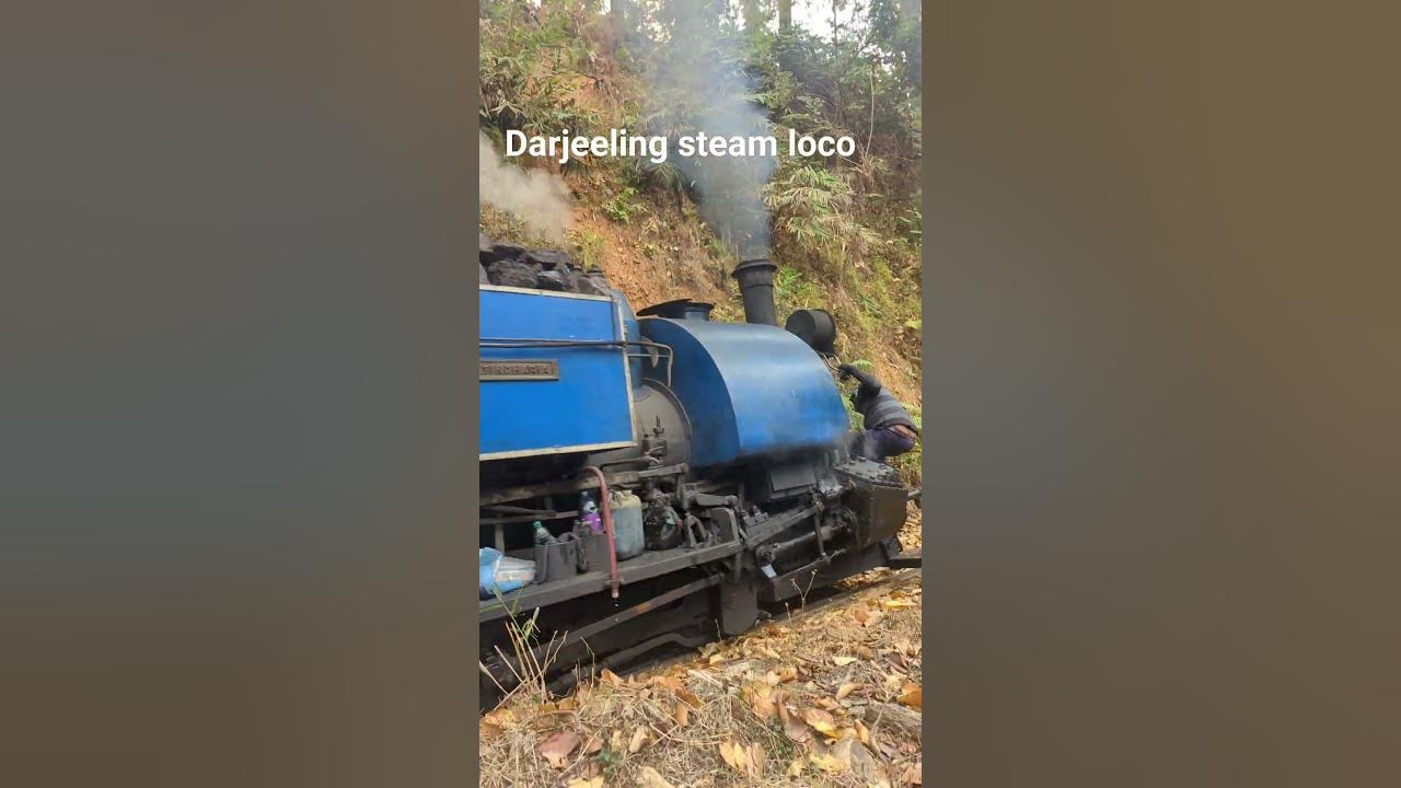 DHR, Darjeeling Himalayan Rail. steam loco. #toytrain #train #darjeeling #travel