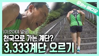 아시아 최장 길이 3333계단, 멈추지 않고 오르기!!┃Asia's Longest Stairs! 3,333 Stair Challenge screenshot 1