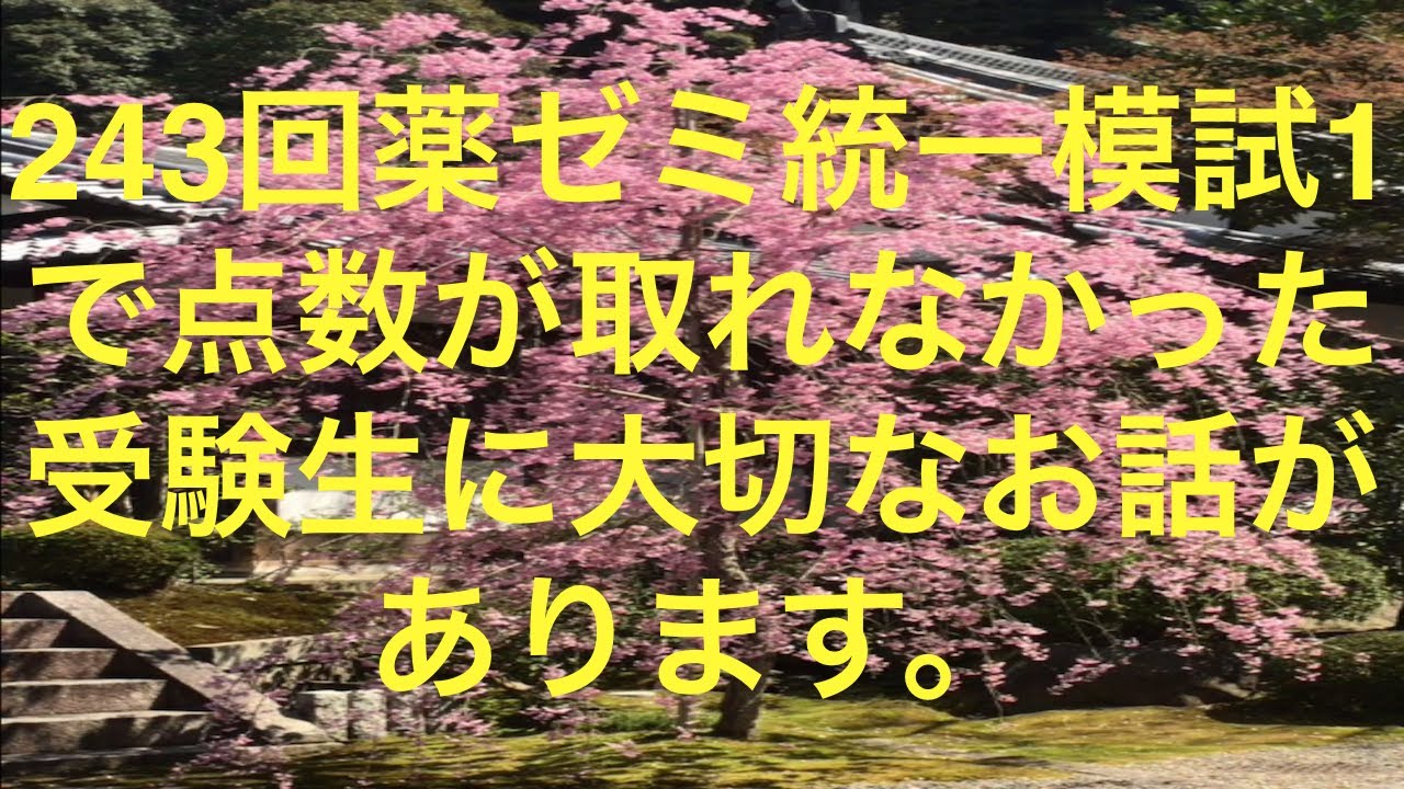 106 回 薬剤師 国家 試験 国家 薬剤師 試験 回 106
