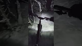 Meanwhile, In Norway