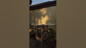 وَاللَّهُ يَرْزُقُ مَن يَشَاءُ بِغَيْرِ حِسَابٍ ♡ سورة النور | عبدالرحمن مسعد #فلسطين #قران_كريم 🍂