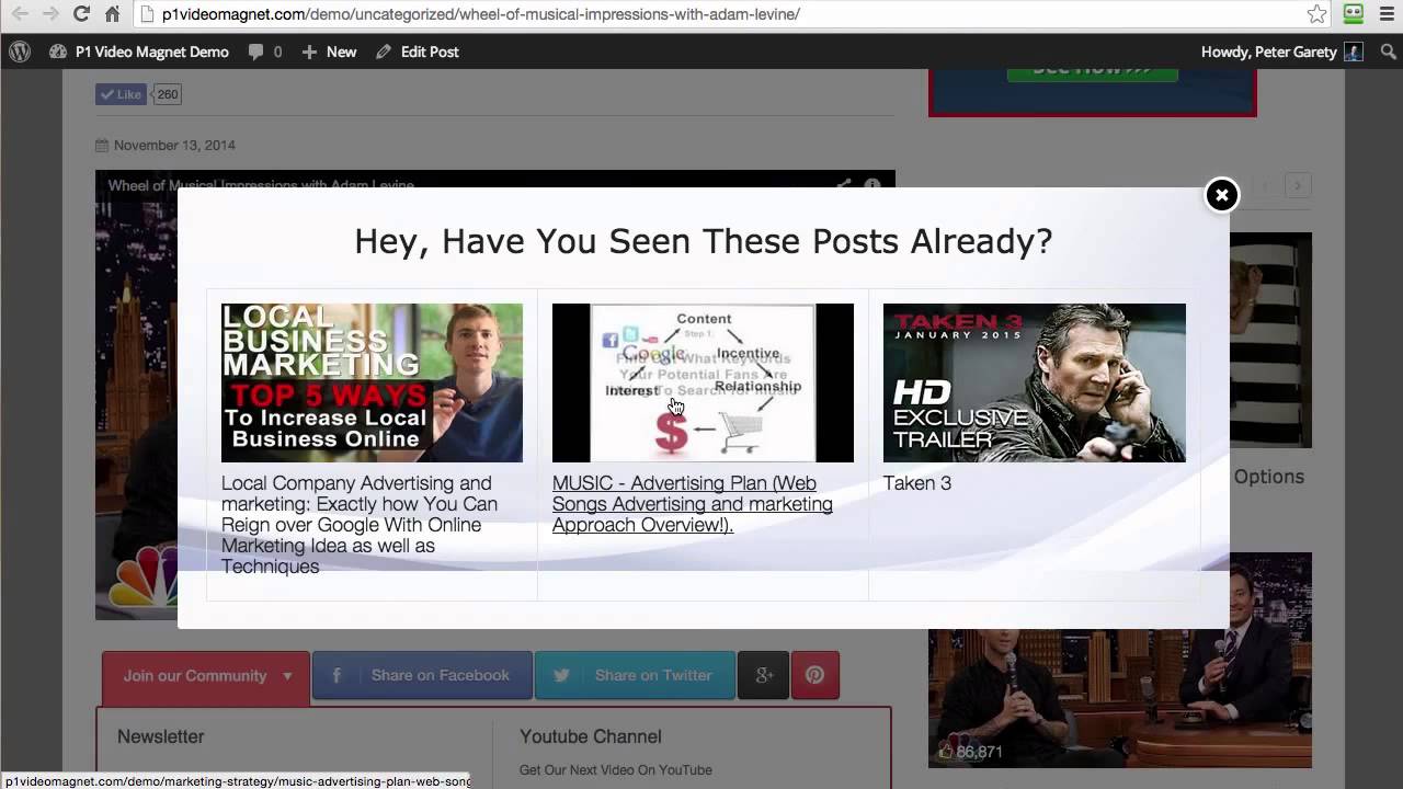 P1 Video Magnet | P1 Video Magnet Review