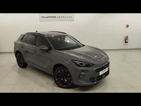 Cupra Terramar 2 0Tsi DSG 4 Drive Launch edition Gris Graphene 