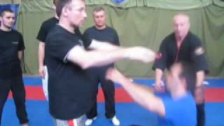 Szenasi vs Kyo Robi KO