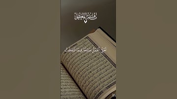 اكتبر شيء  تؤجر عليه😴💚/الشيخ ماهر المعيقلي|قرآن كريم